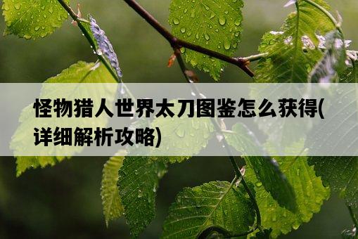 怪物獵人世界太刀圖鑒怎么獲得,詳細解析攻略-圖1 怪物獵人世界太刀圖鑒怎么獲得,詳細解析攻略-圖1