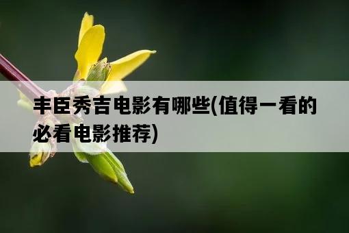 豐臣秀吉電影有哪些，值得一看的必看電影推薦-圖1