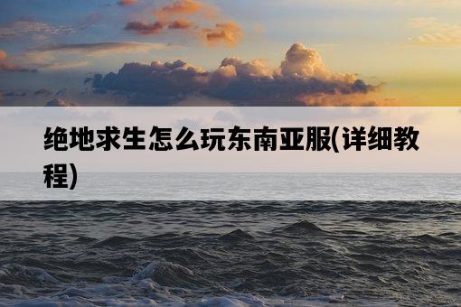 絕地求生怎么玩東南亞服，詳細教程-圖1