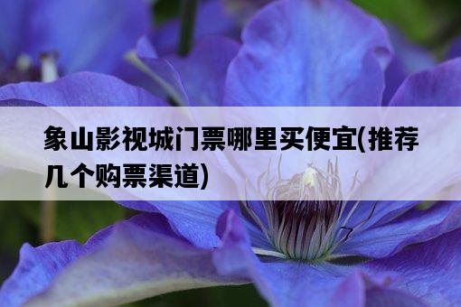 象山影視城門票哪里買便宜，推薦幾個購票渠道-圖1