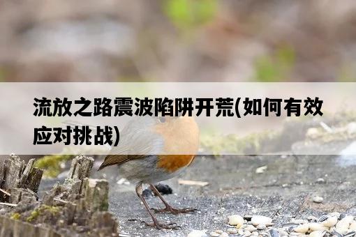 流放之路震波陷阱開荒，如何有效應對挑戰-圖1