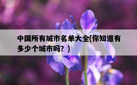 中國所有城市名單大全，你知道有多少個城市嗎？-圖1