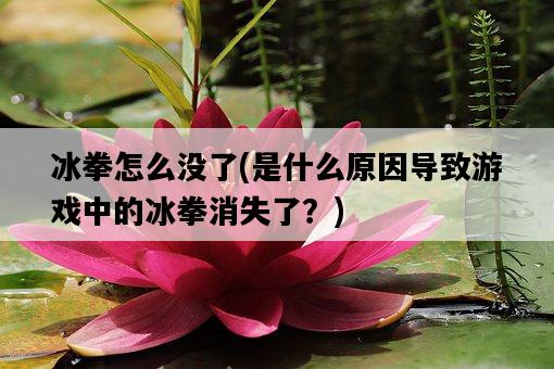 冰拳怎么沒了，是什么原因導致游戲中的冰拳消失了？-圖1