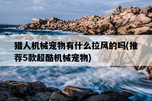獵人機械寵物有什么拉風的嗎，推薦5款超酷機械寵物-圖1
