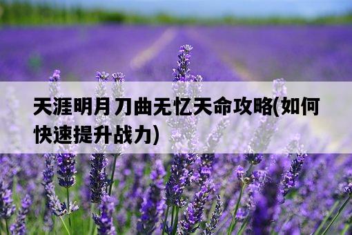 天涯明月刀曲無憶天命攻略，如何快速提升戰力-圖1