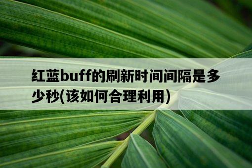 紅藍buff的刷新時間間隔是多少秒，該如何合理利用-圖1