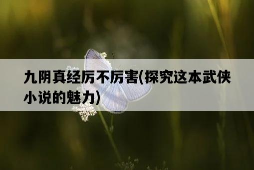 九陰真經厲不厲害，探究這本武俠小說的魅力-圖1