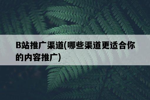 B站推廣渠道，哪些渠道更適合你的內容推廣-圖1