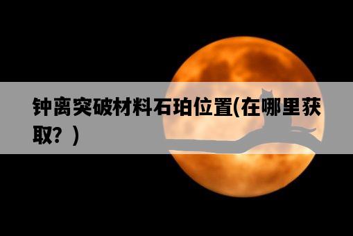 鐘離突破材料石珀位置，在哪里獲取？-圖1