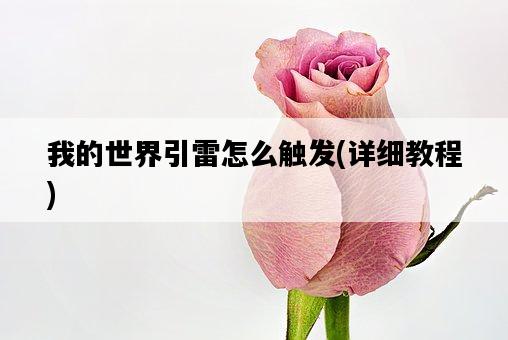 我的世界引雷怎么觸發，詳細教程-圖1