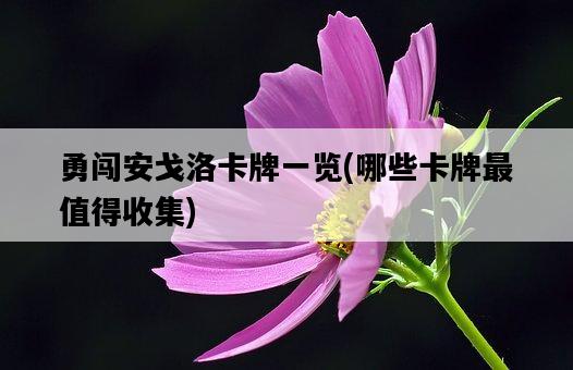 勇闖安戈洛卡牌一覽，哪些卡牌最值得收集-圖1