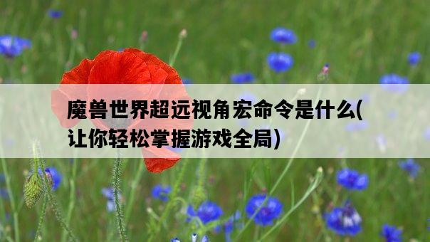 魔獸世界超遠視角宏命令是什么，讓你輕松掌握游戲全局-圖1