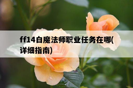 ff14白魔法師職業任務在哪，詳細指南-圖1