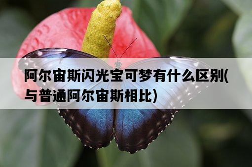 阿爾宙斯閃光寶可夢有什么區別，與普通阿爾宙斯相比-圖1