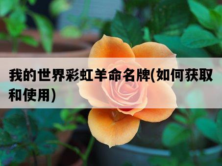 我的世界彩虹羊命名牌，如何獲取和使用-圖1