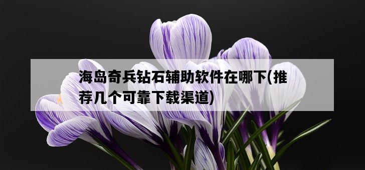 海島奇兵鉆石輔助軟件在哪下，推薦幾個可靠下載渠道-圖1
