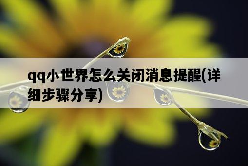 qq小世界怎么關閉消息提醒，詳細步驟分享-圖1