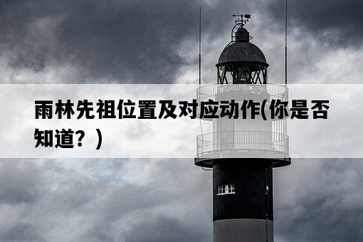 雨林先祖位置及對應動作，你是否知道？-圖1