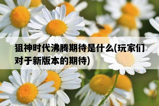 狙神時代沸騰期待是什么，玩家們對于新版本的期待-圖1