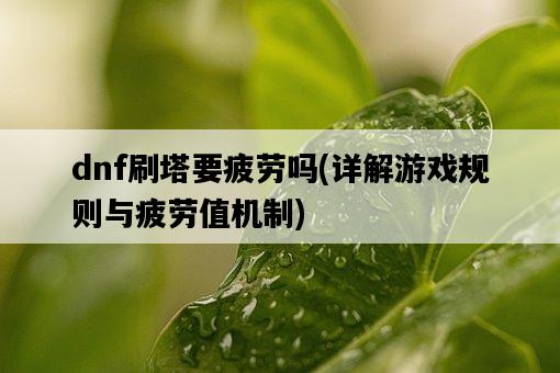 dnf刷塔要疲勞嗎，詳解游戲規則與疲勞值機制-圖1