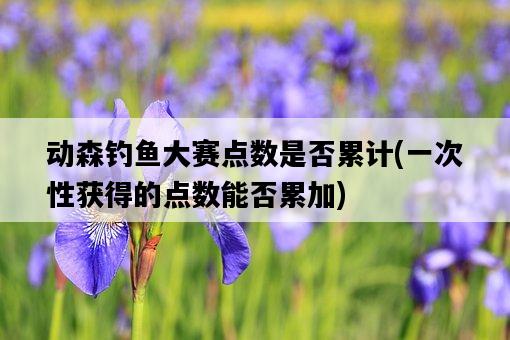 動森釣魚大賽點數是否累計，一次性獲得的點數能否累加-圖1