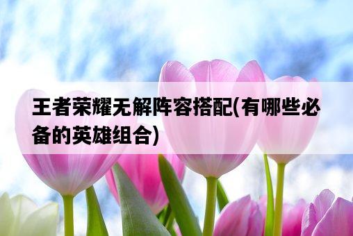 王者榮耀無解陣容搭配，有哪些必備的英雄組合-圖1