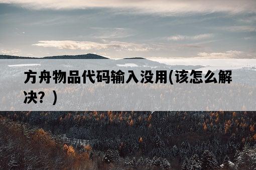 方舟物品代碼輸入沒用，該怎么解決？-圖1
