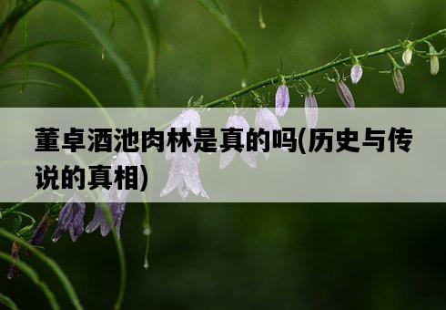 董卓酒池肉林是真的嗎，歷史與傳說的真相-圖1