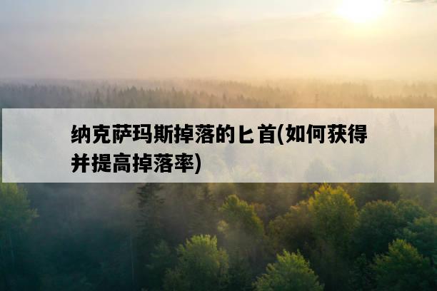 納克薩瑪斯掉落的匕首，如何獲得并提高掉落率-圖1