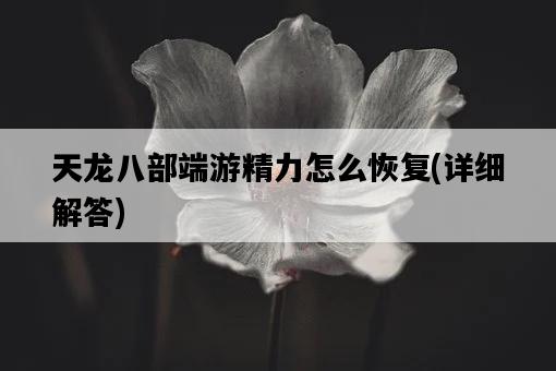 天龍八部端游精力怎么恢復，詳細解答-圖1