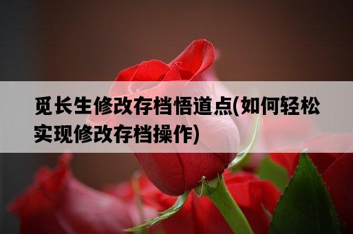 覓長生修改存檔悟道點，如何輕松實現修改存檔操作-圖1