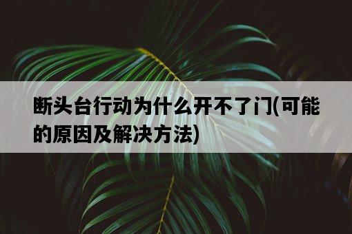 斷頭臺行動為什么開不了門，可能的原因及解決方法-圖1