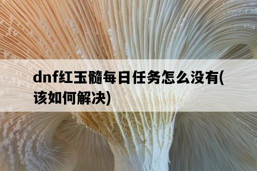 dnf紅玉髓每日任務怎么沒有，該如何解決-圖1