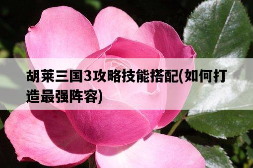 胡萊三國3攻略技能搭配，如何打造最強陣容-圖1