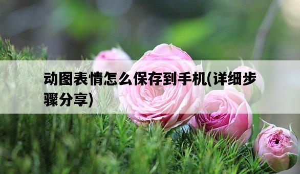 動圖表情怎么保存到手機，詳細步驟分享-圖1