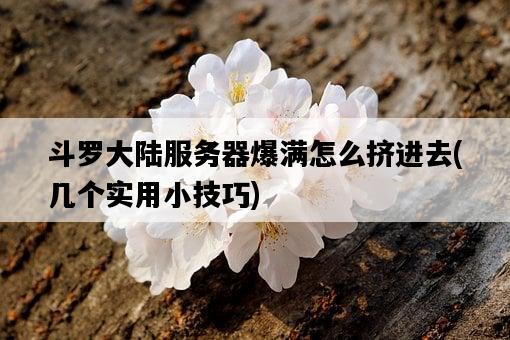 斗羅大陸服務器爆滿怎么擠進去，幾個實用小技巧-圖1