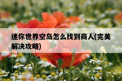 迷你世界空島怎么找到商人，完美解決攻略-圖1