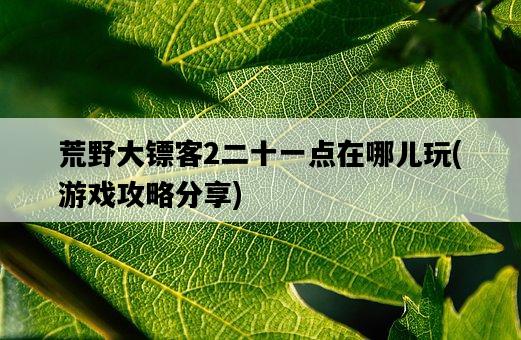 荒野大鏢客2二十一點在哪兒玩，游戲攻略分享-圖1