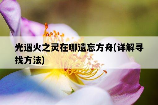 光遇火之靈在哪遺忘方舟，詳解尋找方法-圖1