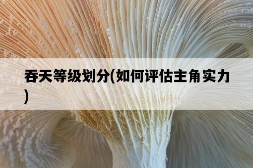 吞天等級劃分，如何評估主角實力-圖1