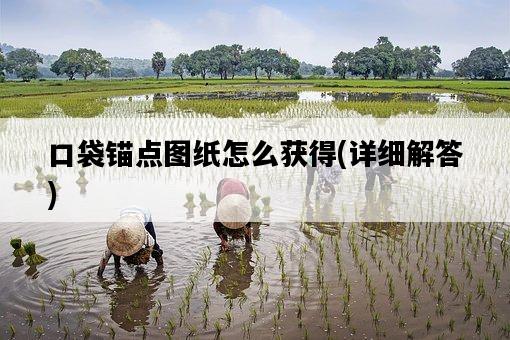 口袋錨點圖紙怎么獲得，詳細解答-圖1