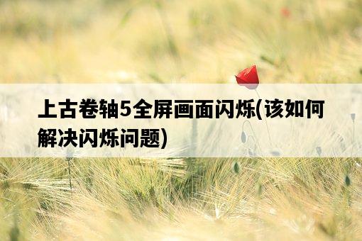 上古卷軸5全屏畫面閃爍，該如何解決閃爍問題-圖1