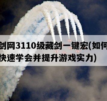 劍網3110級藏劍一鍵宏，如何快速學會并提升游戲實力-圖1