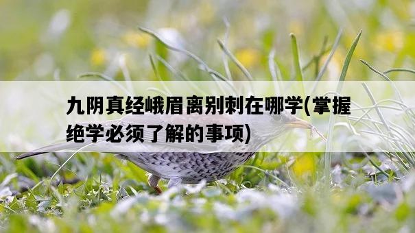 九陰真經峨眉離別刺在哪學，掌握絕學必須了解的事項-圖1
