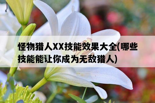 怪物獵人XX技能效果大全，哪些技能能讓你成為無敵獵人-圖1