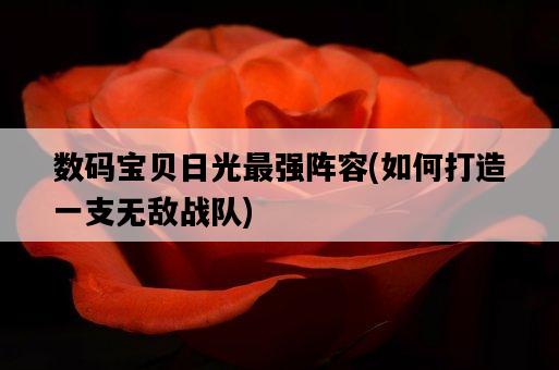 數碼寶貝日光最強陣容，如何打造一支無敵戰隊-圖1