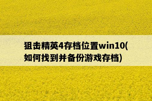狙擊精英4存檔位置win10,如何找到并備份游戲存檔-圖1 狙擊精英4存檔位置win10,如何找到并備份游戲存檔-圖1