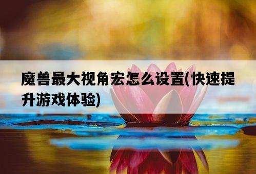 魔獸最大視角宏怎么設置，快速提升游戲體驗-圖1
