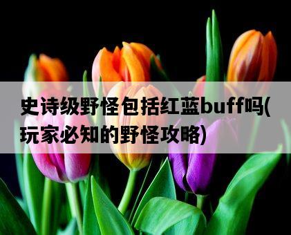 史詩級野怪包括紅藍buff嗎，玩家必知的野怪攻略-圖1