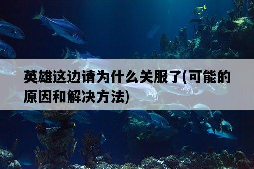 英雄這邊請為什么關服了，可能的原因和解決方法-圖1